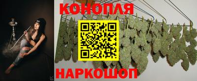 ГАЛЛЮЦИНОГЕННЫЕ ГРИБЫ Шебекино