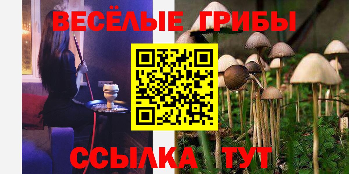 Псилоцибиновые грибы Magic Shrooms Добрянка